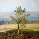 WWScenics Mixed Size Sea Foam Tree Box