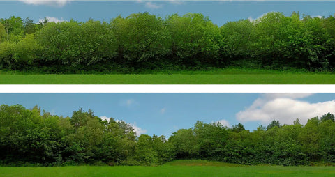 OO Gauge Backscene – Art Printers 15" High Trees Backscene (Pack C) 149C