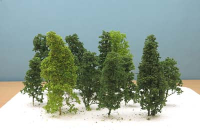 Jordan Pack of 12 Natural Trees