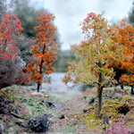 WWScenics Realistic Tree Making Kit - Autumn